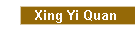 Xing Yi Quan