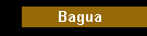 Bagua